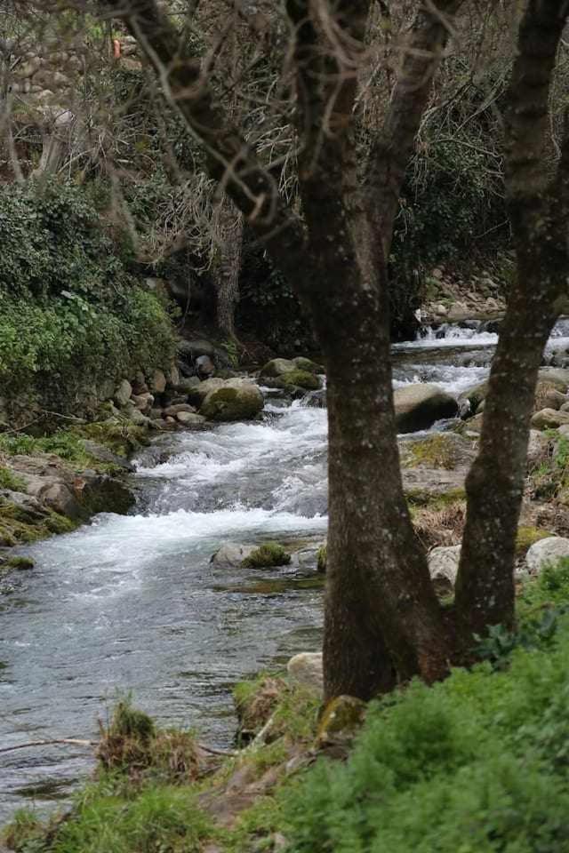 El Olivar Agloipe Ahigal Trcc 外观 照片